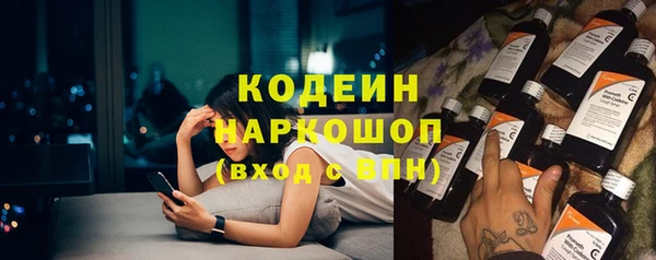 гашик Балахна