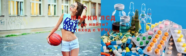 гашик Балахна