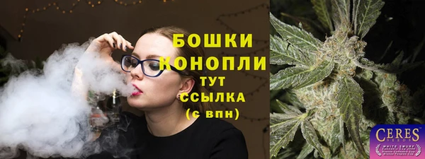 гашик Балахна