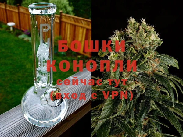 гашик Балахна