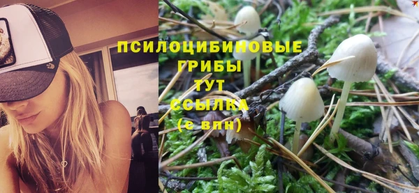 винт Баксан