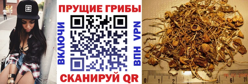 купить наркоту кракен ссылки Галлюциногенные грибы ЛСД Белозерск